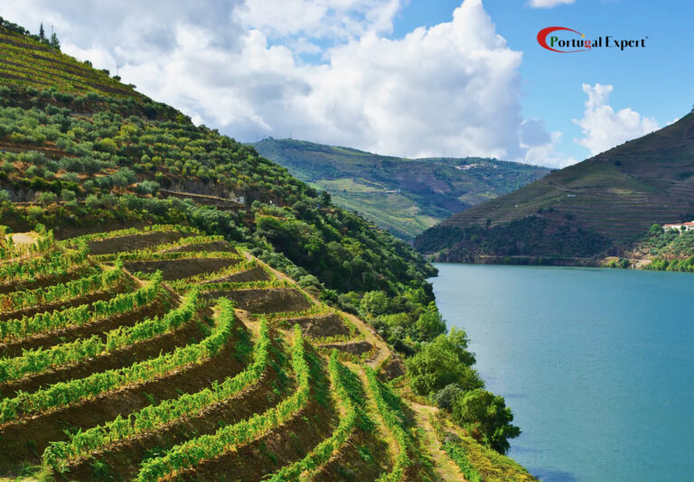 Douro Valley – Private Tour – 2 days