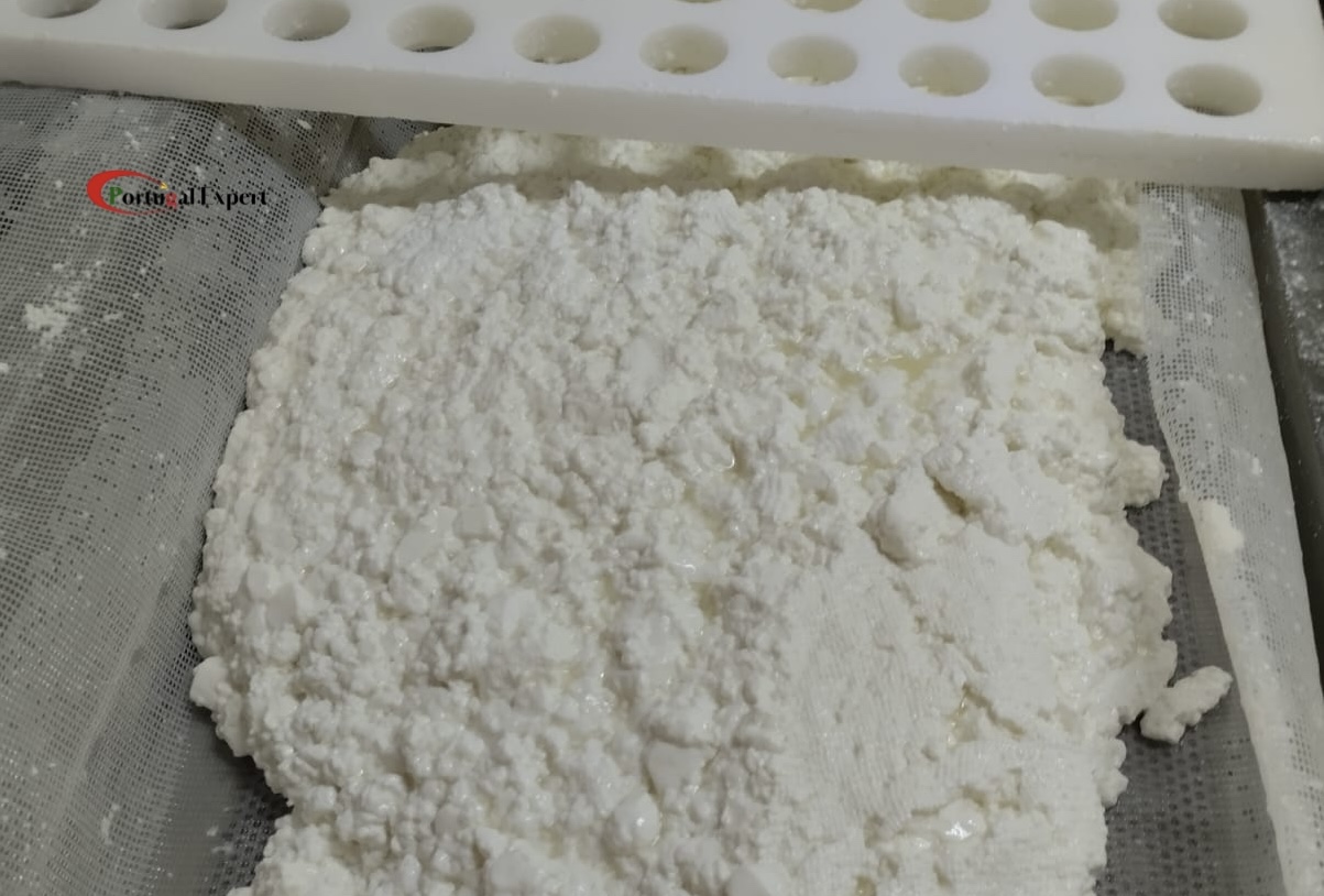 Portugal_expert_Queijo da Azoia_20
