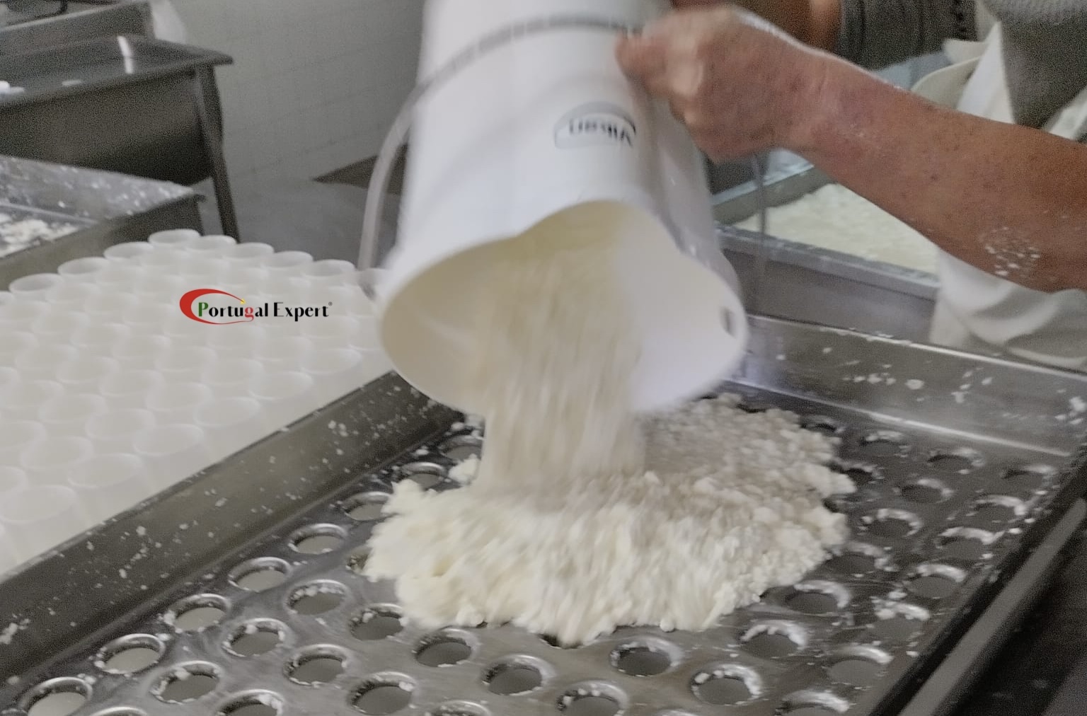 Portugal_expert_Queijo da Azoia_21