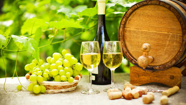 Portugal_expert_Vinho_Verde_2