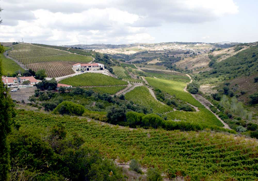Quinta-arinto-portugal-expert