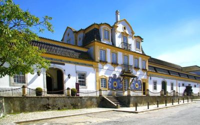 Azeitao-portugal-expert-04