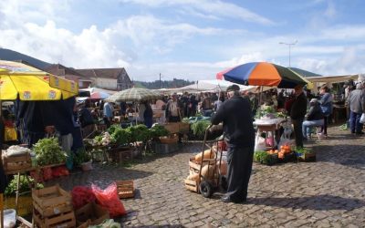 Portugal_expert_Malveira