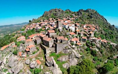 Monsanto-portugal-expert-04