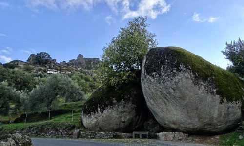 Monsanto-portugal-expert-06