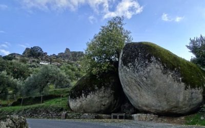 Monsanto-portugal-expert-06-rq76kovyozgfuy99mbr8pihokl0ntsvnbekwiiamds