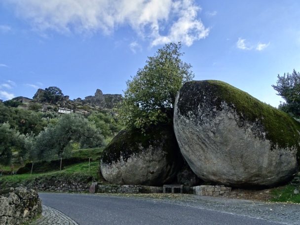 Monsanto-portugal-expert-06