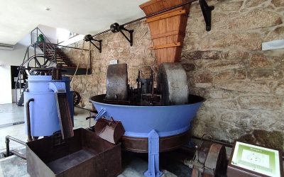 Museu_azeite_belmonte_0_Portugal_expert