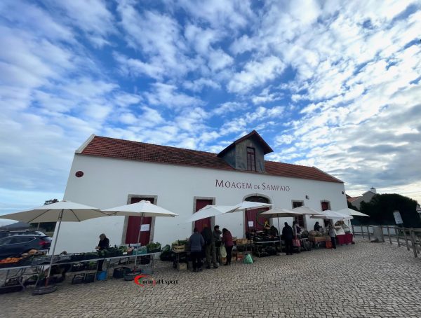 Portrugal_Expert_Mercado_Moagem_Sampaio_06
