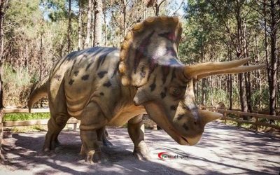 Portugal-Expert-Dinopark-01