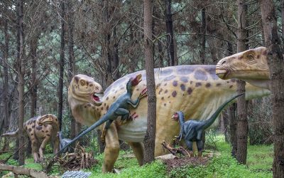 Portugal-Expert-Dinopark-11