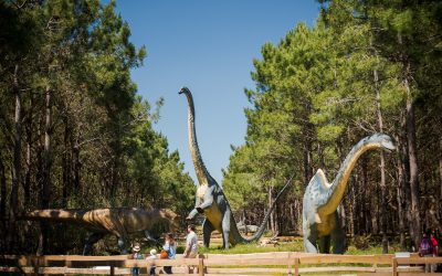 Portugal-Expert-Dinopark-15