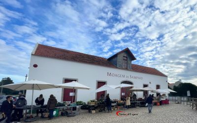 Portugal_Expert_Mercado_Moagem_Sampaio_01