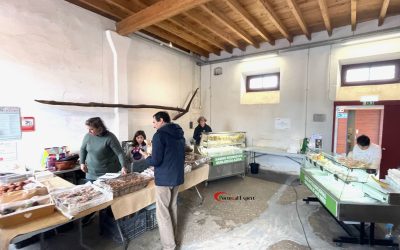 Portugal_Expert_Mercado_Moagem_Sampaio_04