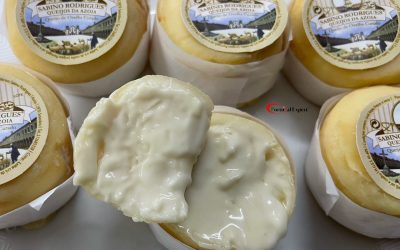Portugal_Expert_Queijo _Azoia_02