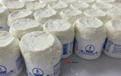 Portugal_Expert_Queijo _Azoia_07