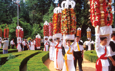 Portugal_Expert_Tomar_23