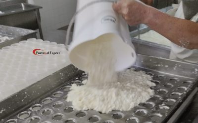 Portugal_expert_Queijo da Azoia_21