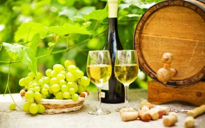 Portugal_expert_Vinho_Verde_2