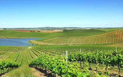Portugal_expert_Vinhos_Verdes_11