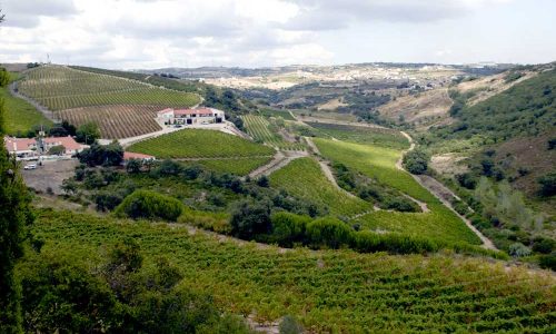 Quinta-arinto-portugal-expert