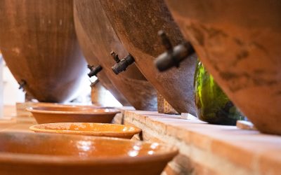 Vinho-da-Talha-Portugal-Expert-02