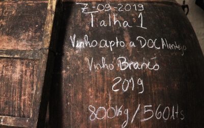 Vinho-da-Talha-Portugal-Expert-05