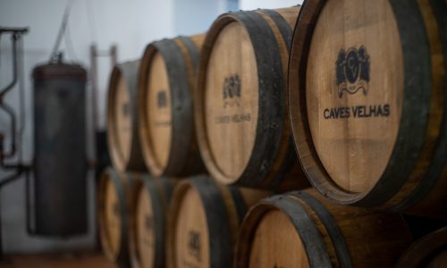 arinto-portugal-expert-09