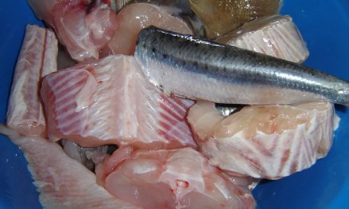 caldeirada-peixe-portugal-expert-20