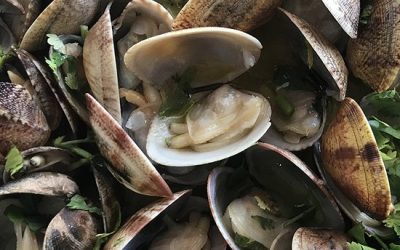 clams-bulhao-pato-_portugal_expert