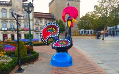 Galo Barcelos