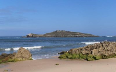 ilha_pessegueiro