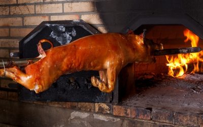leitao-bairrada-portugal-expert-30