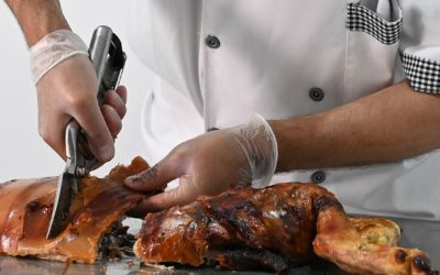leitao-bairrada-portugal-expert-35