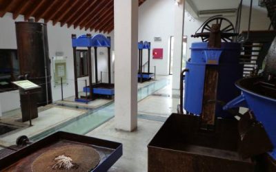 museu-do-azeite-belmonte_05_Portugal_expert