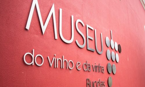 museu-vinho-bucelas-portugal-expert