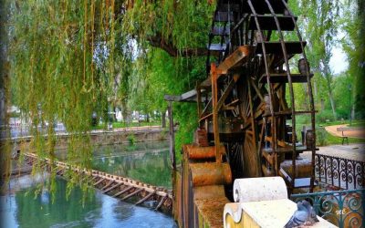 roda-do-mouchao-portugal-expert-05