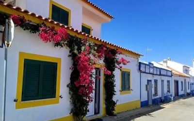 vila_nova_mi_fontes